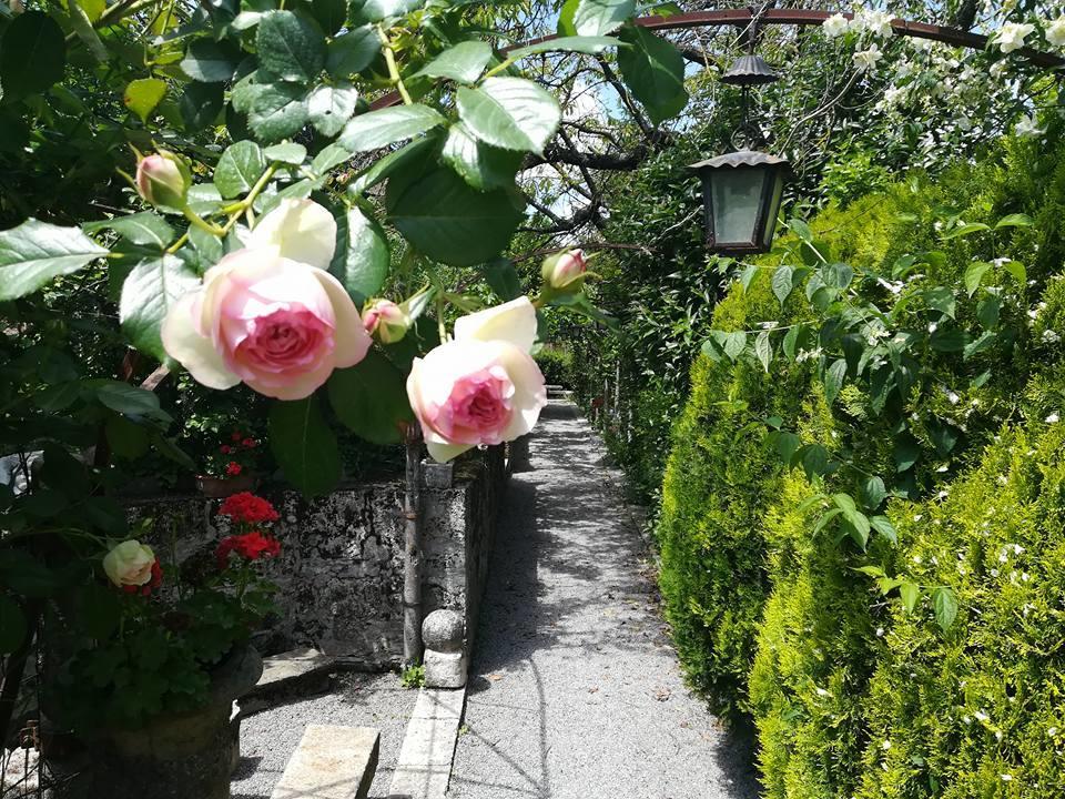 キウージ Residenza Dei Ricci Bed & Breakfast エクステリア 写真
